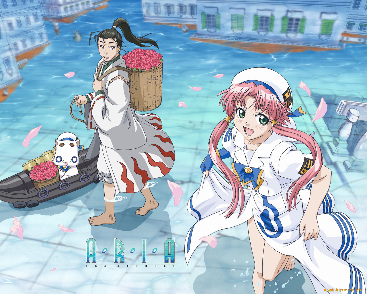 , aria